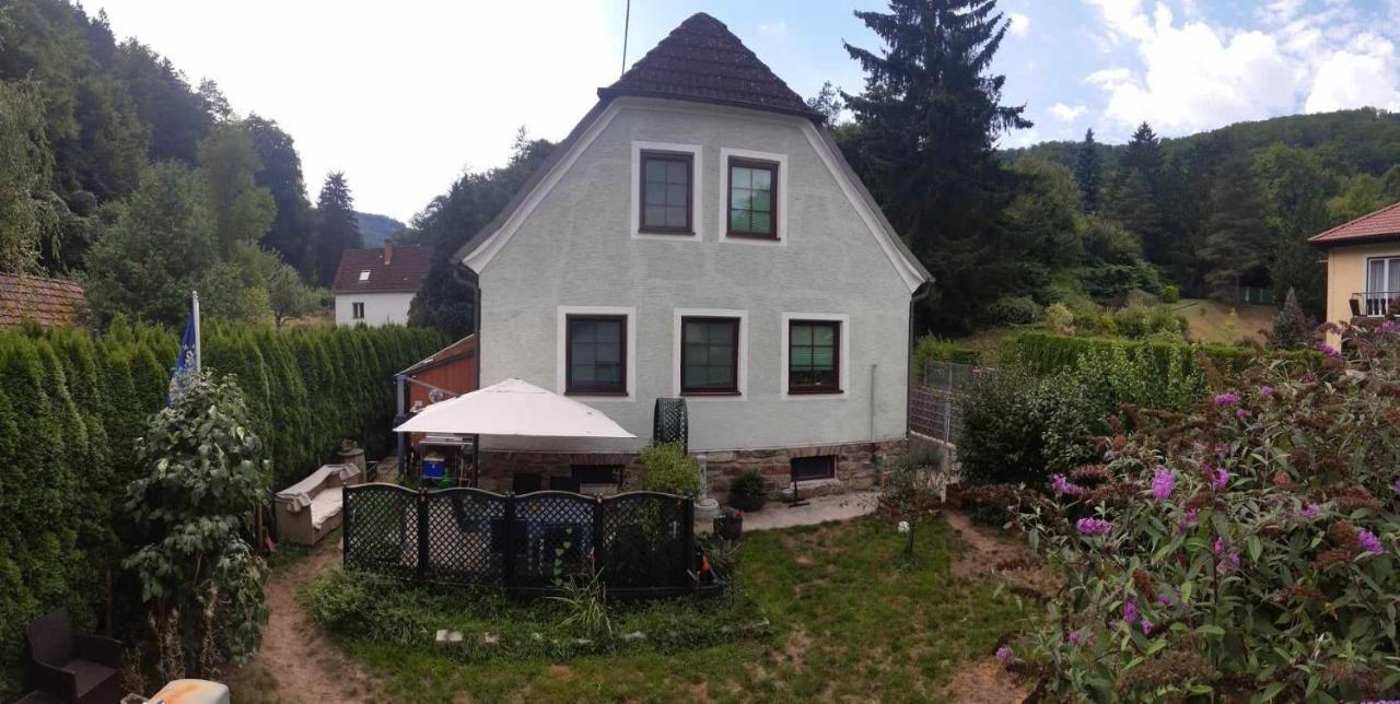 Aggsbach Zu Hause Am Bach 아파트 외부 사진