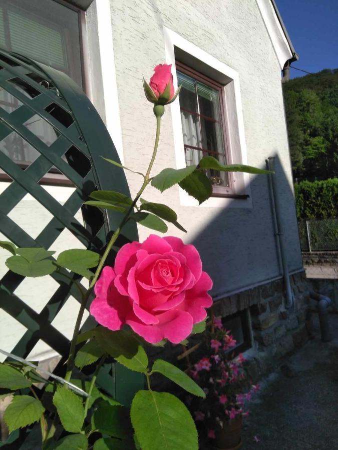 Aggsbach Zu Hause Am Bach 아파트 외부 사진